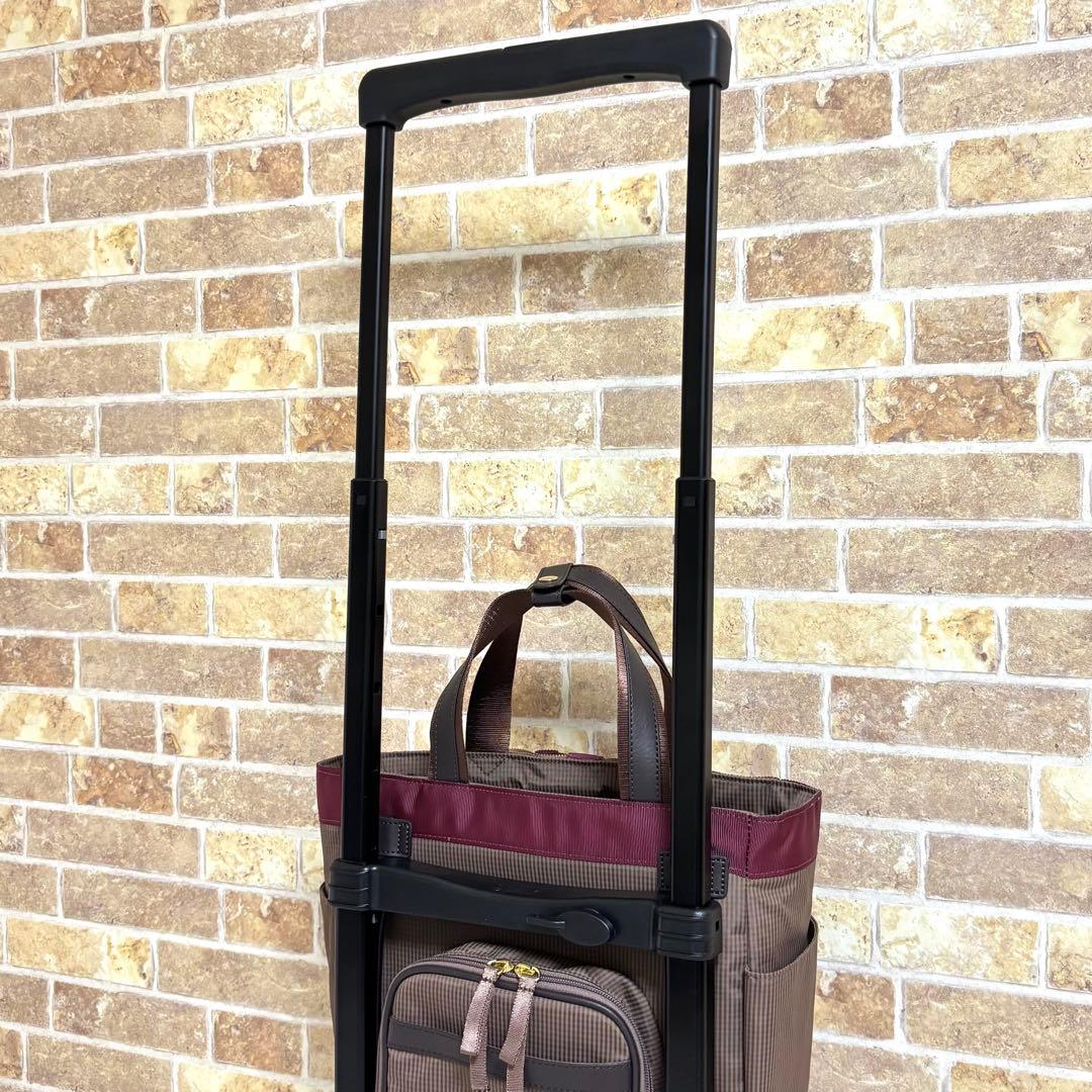 専用　スワニー ルバンドII キャリーケース キャリーカート 12L