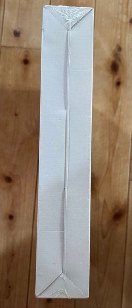 新品 未開封 フィッシュマンズFishmans Rock Festival