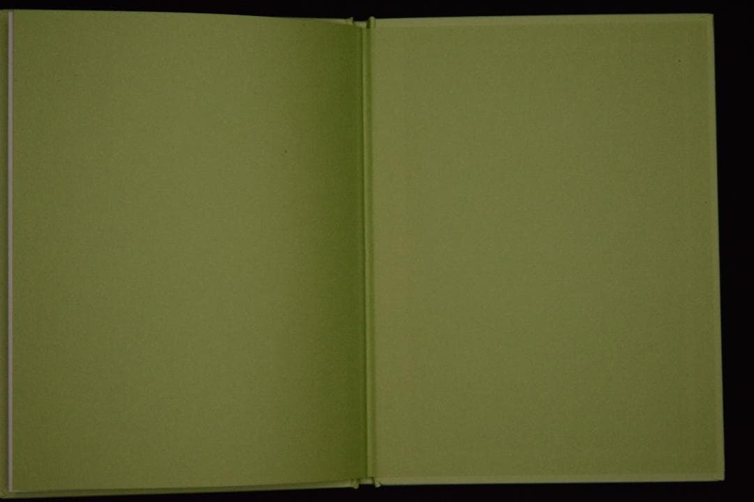 【 Ron Van Dongen: A. angustatum】★値下げしました