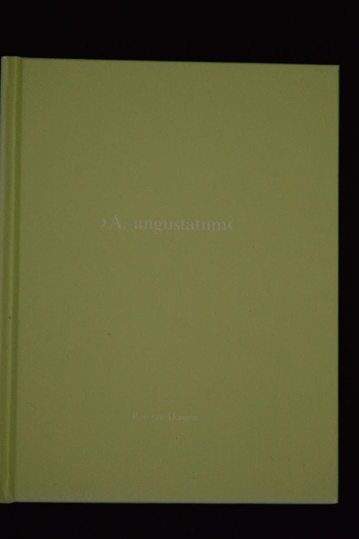 【 Ron Van Dongen: A. angustatum】★値下げしました