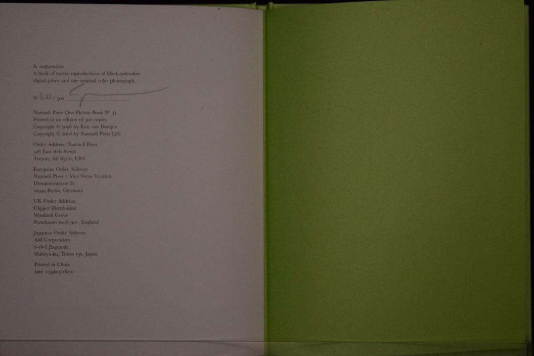 【 Ron Van Dongen: A. angustatum】★値下げしました