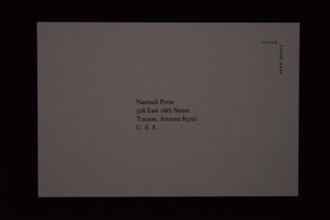 【 Ron Van Dongen: A. angustatum】★値下げしました