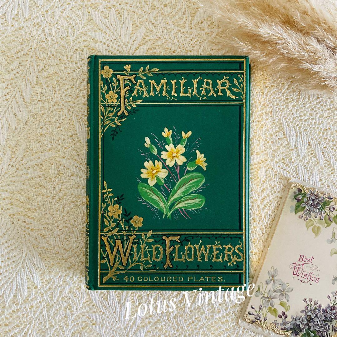 Familiar Wild Flowers　希少なアンティーク植物図鑑　洋書古書