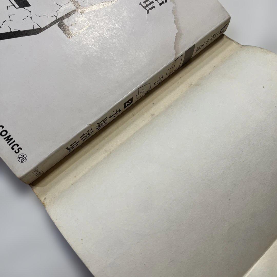 ブッダ 2 手塚治虫 希望コミックス