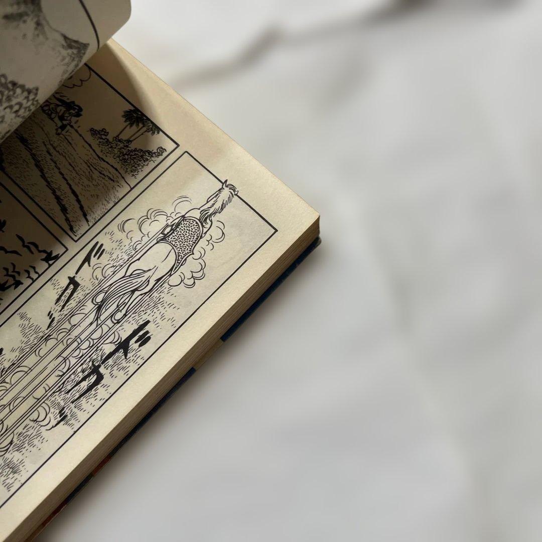 ブッダ 2 手塚治虫 希望コミックス