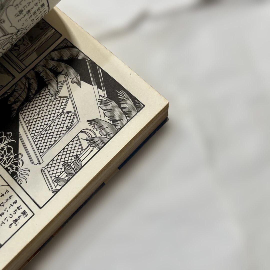 ブッダ 2 手塚治虫 希望コミックス