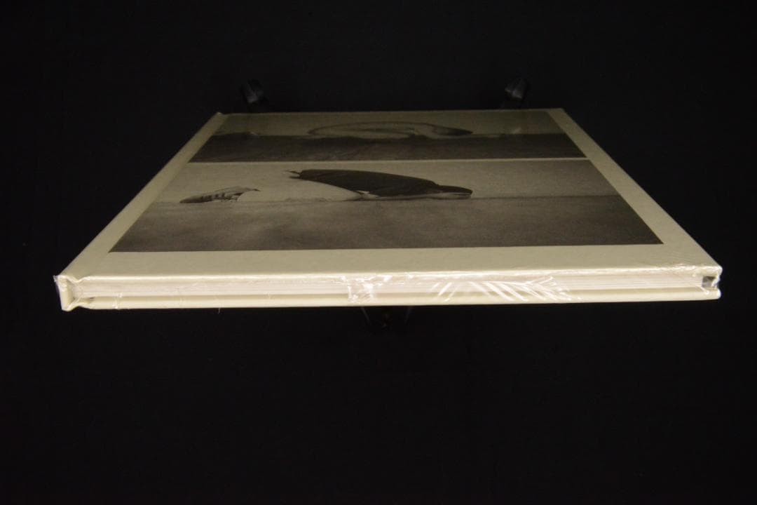 【Wolfgang Tillmans】新品未開封品　★★大幅に値下げしました