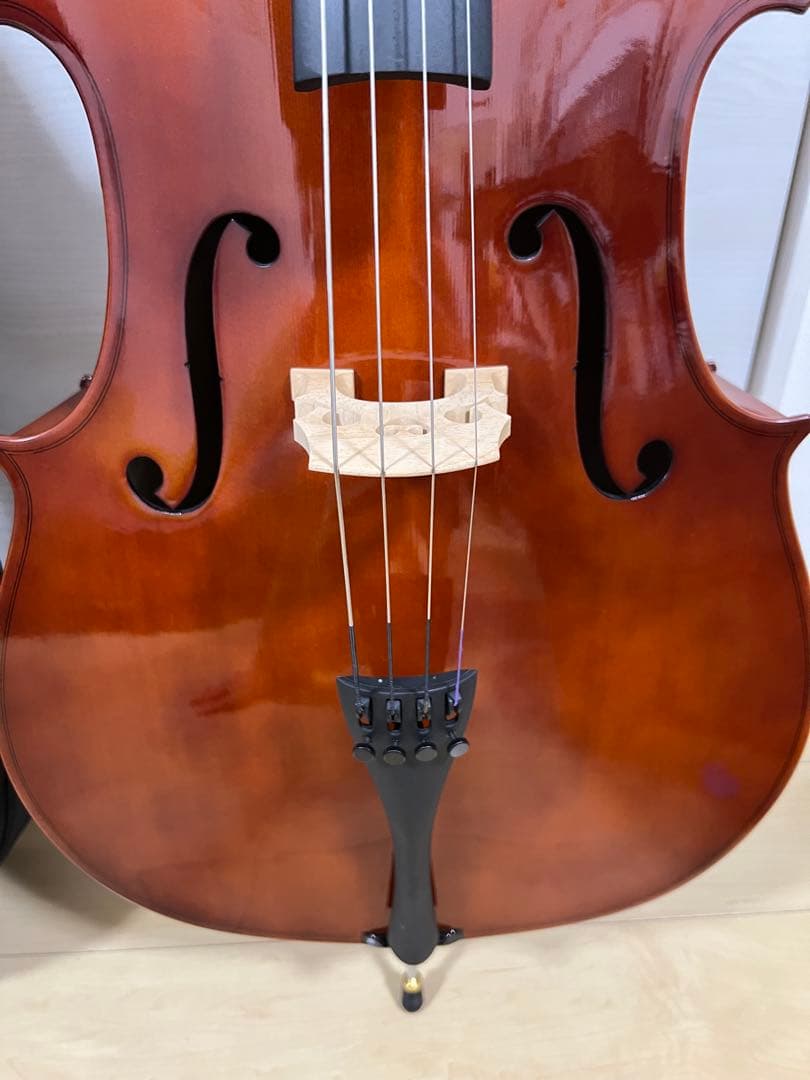 【美品】CARLO GIORDANO SC-100 4/4 チェロ フルサイズ