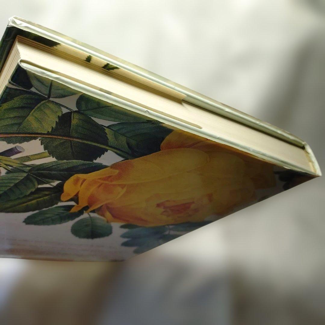 REDUTE ルドゥーテ　バラ