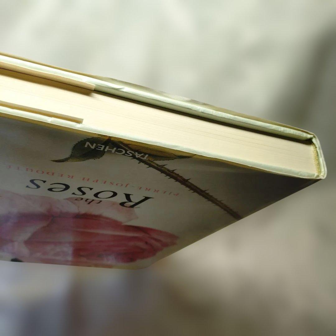 REDUTE ルドゥーテ　バラ