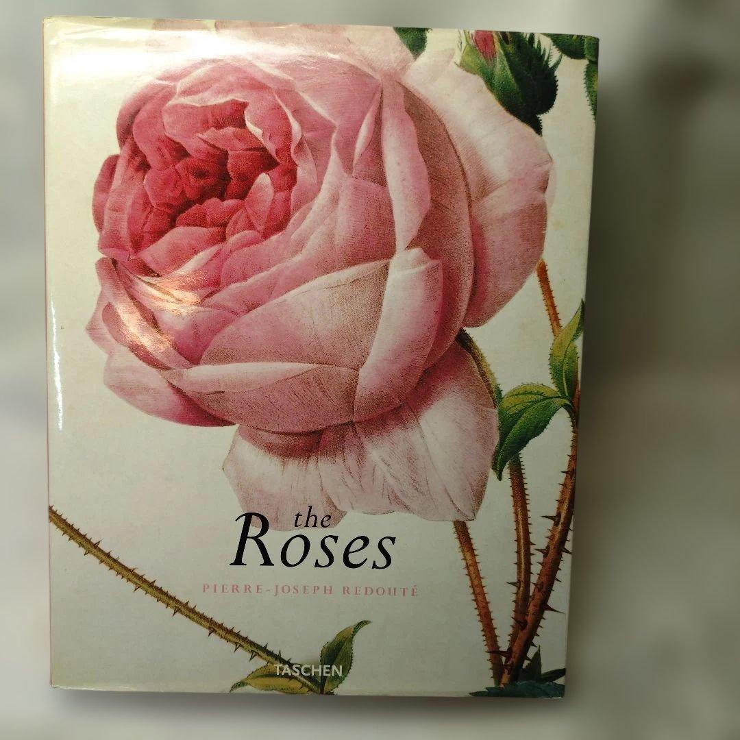 REDUTE ルドゥーテ　バラ