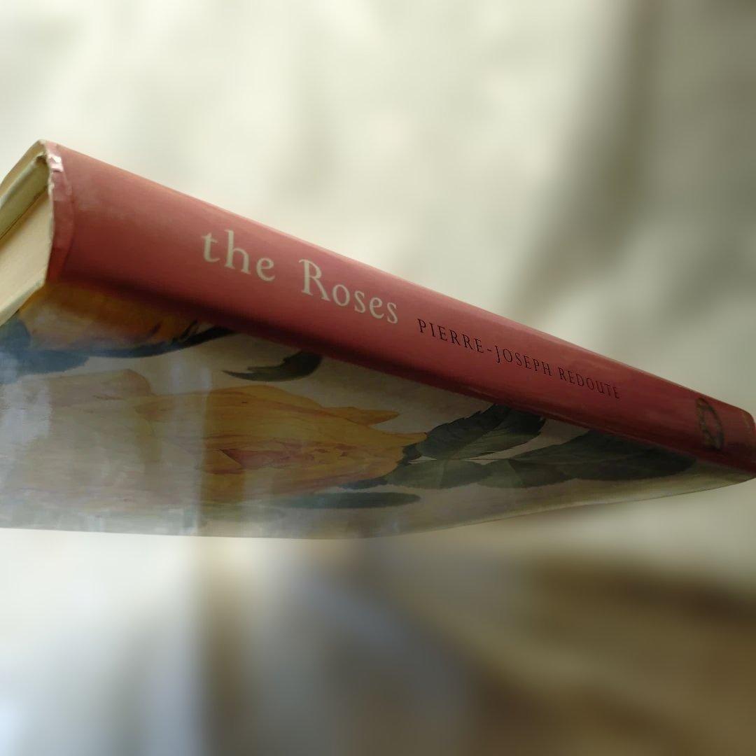 REDUTE ルドゥーテ　バラ