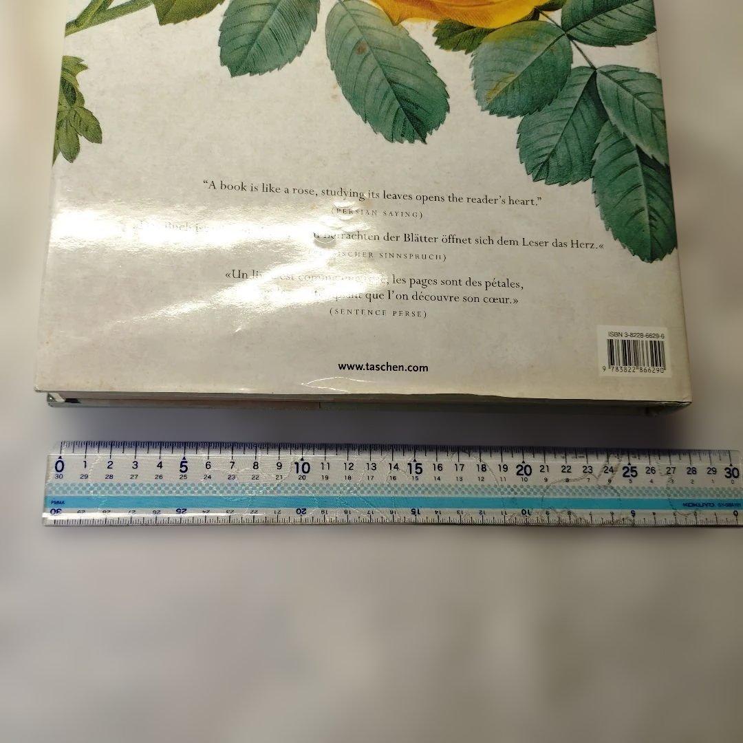 REDUTE ルドゥーテ　バラ