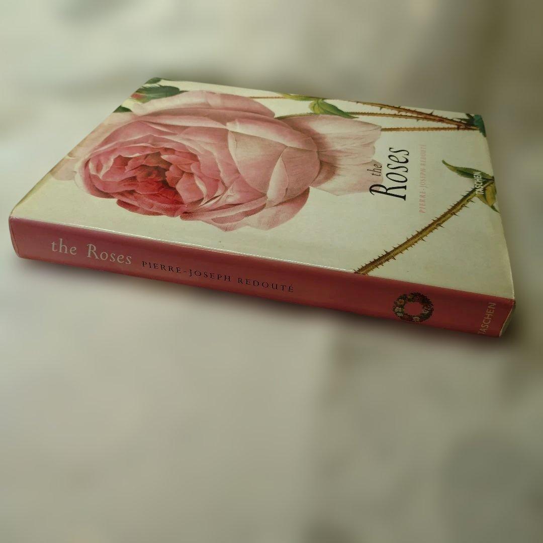 REDUTE ルドゥーテ　バラ