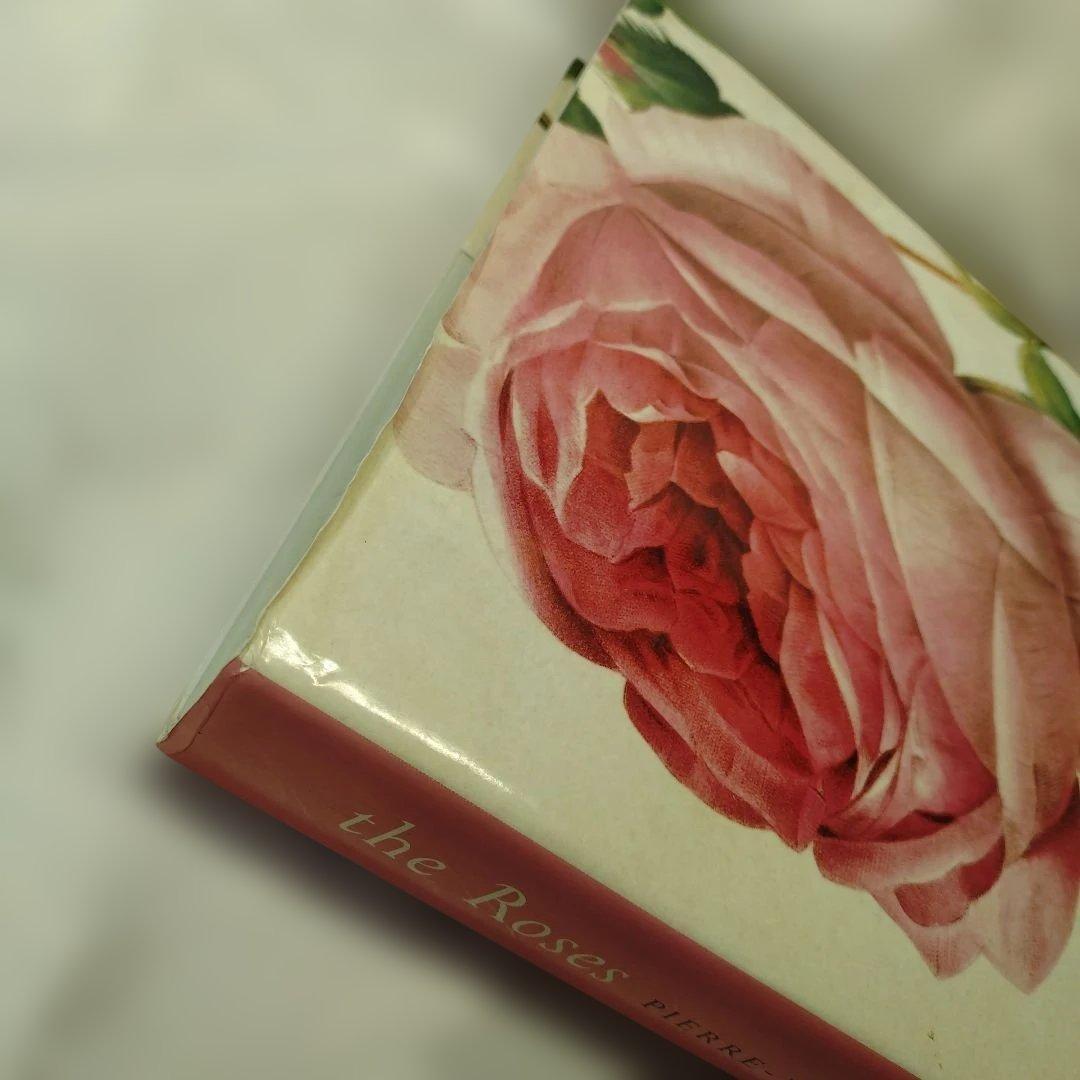 REDUTE ルドゥーテ　バラ