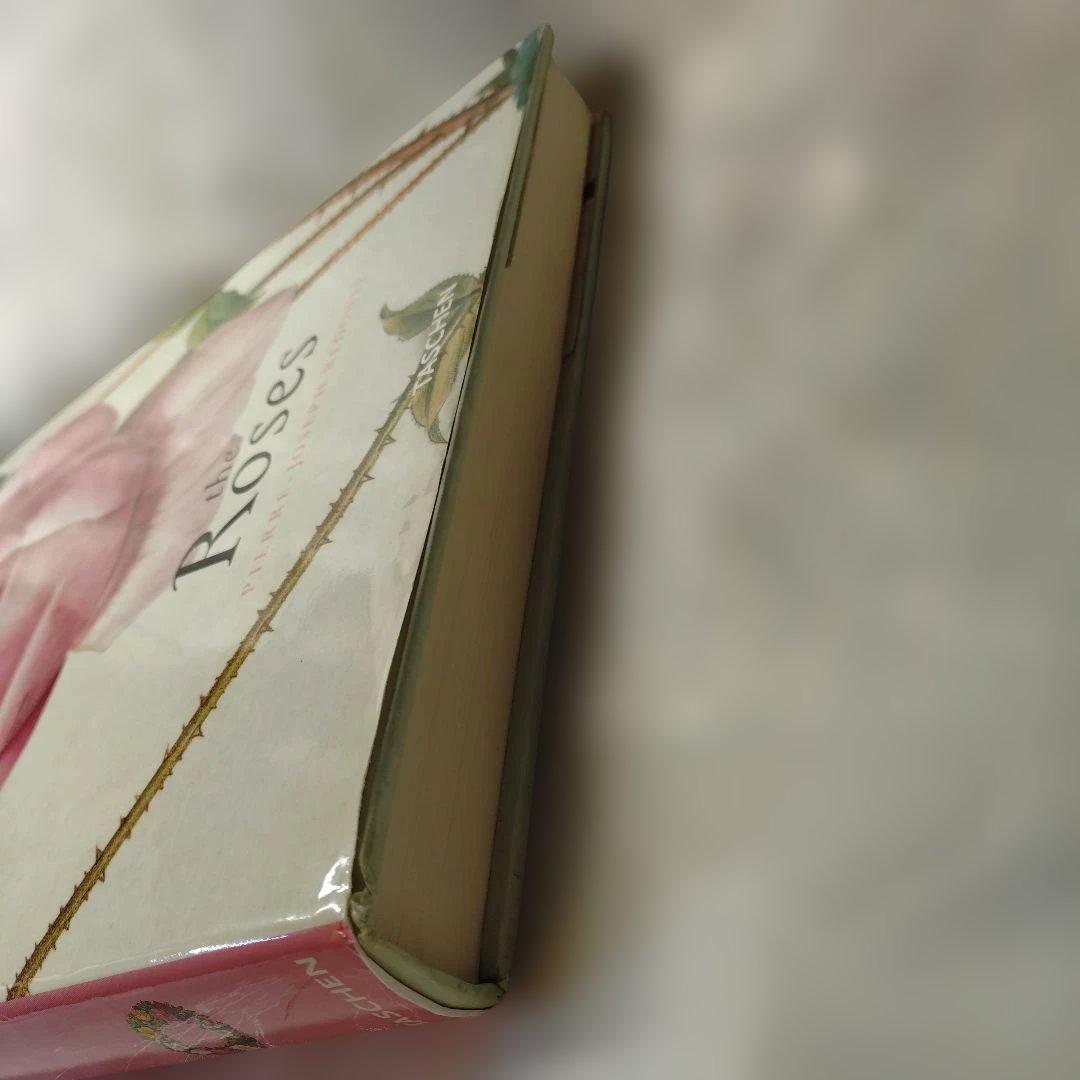 REDUTE ルドゥーテ　バラ