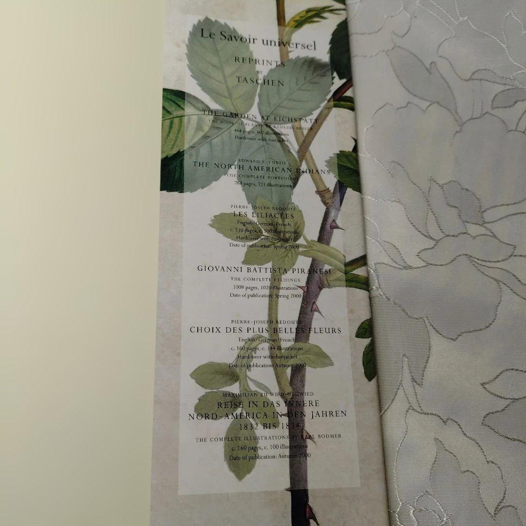 REDUTE ルドゥーテ　バラ