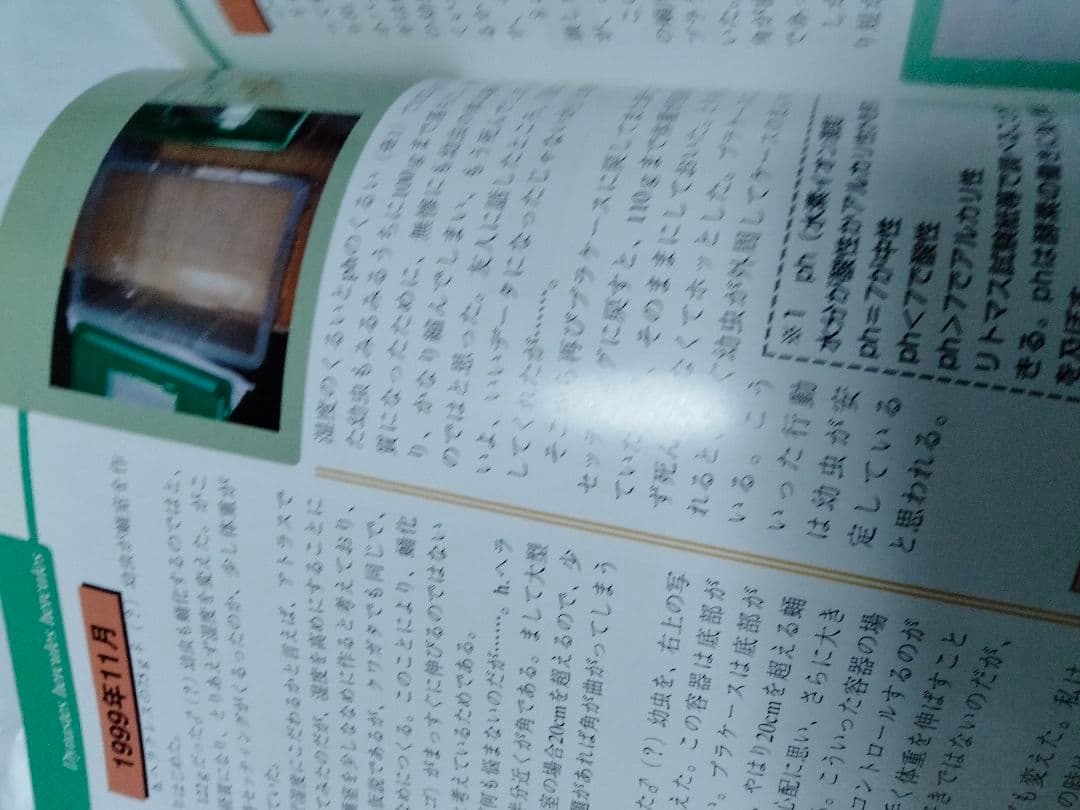 昆虫フィールド 2000　オオクワガタ　ヘラクレス　タガメ