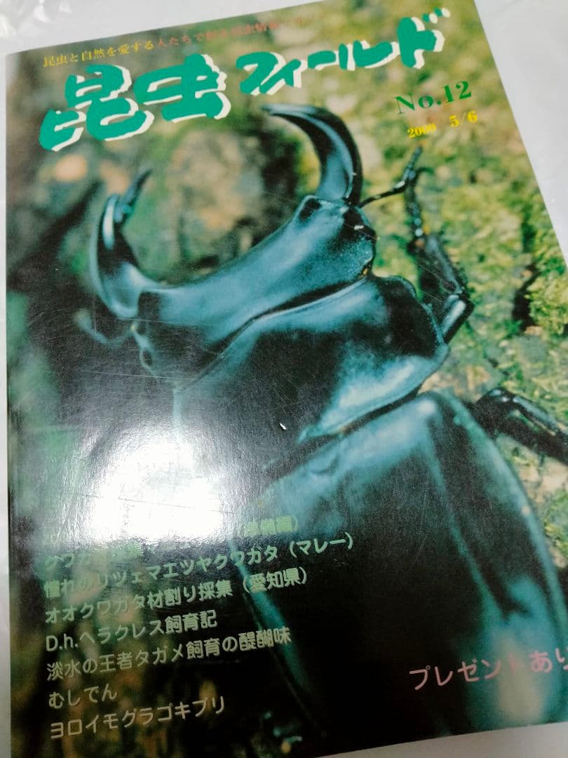 昆虫フィールド 2000　オオクワガタ　ヘラクレス　タガメ