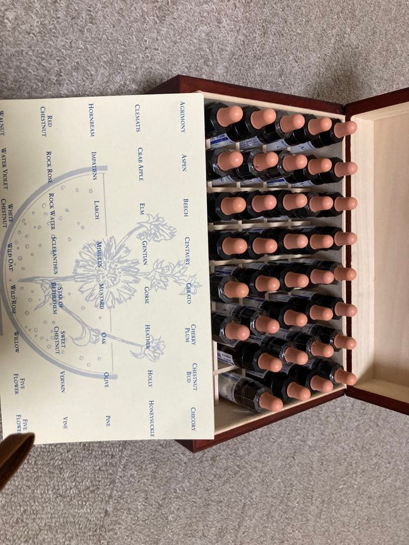 バッチフラワーエッセンスクラシック使用あり38本ボックス　大自然からの贈り物冊子