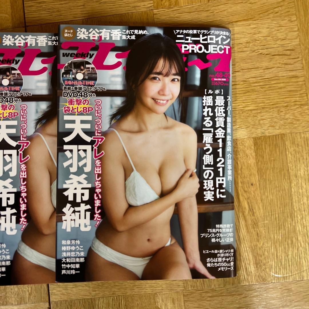 週刊プレイボーイ 48・49号