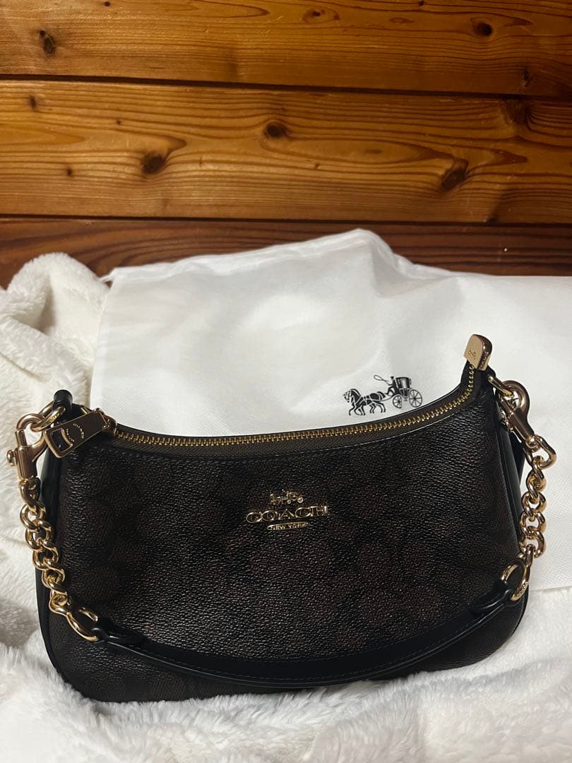 テリ ショルダー バッグ・シグネチャー キャンバス