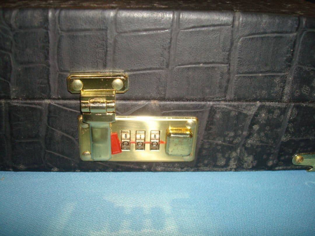 【現状品カビ】ディーラーズ　キューケース 10バット10シャフト用