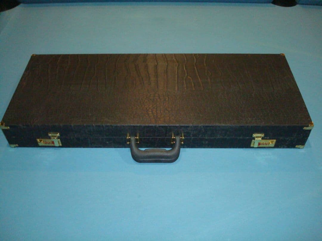 【現状品カビ】ディーラーズ　キューケース 10バット10シャフト用