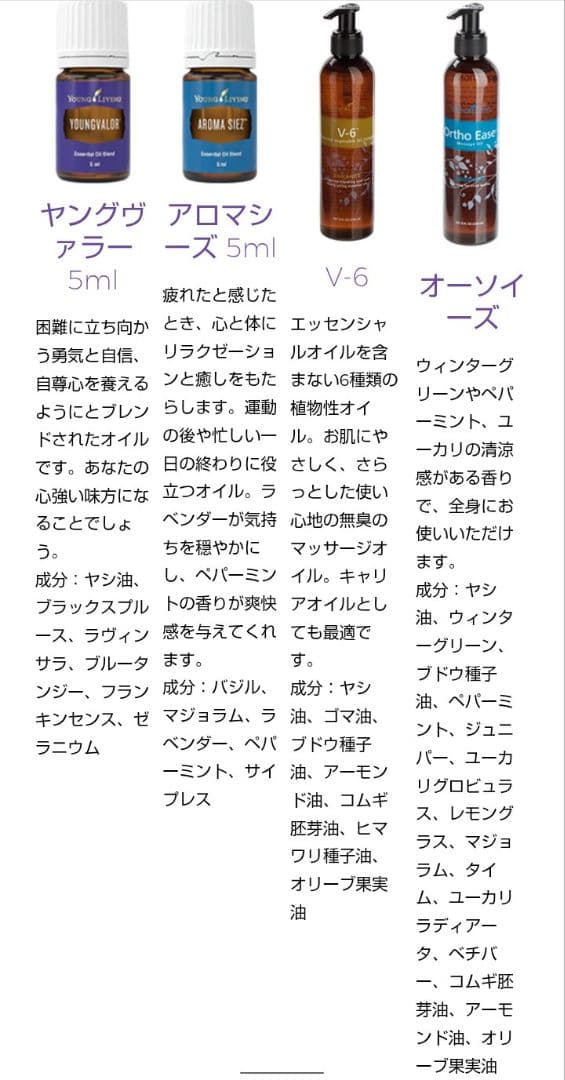 【最終値下げ】ヤングリビング・レインドロップテクニック特大サイズセット