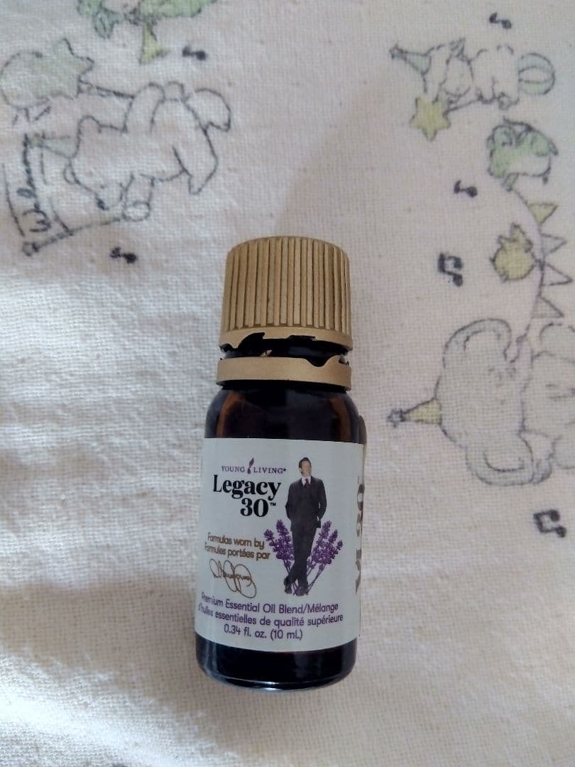 【最終値下げ】ヤングリビング・レインドロップテクニック特大サイズセット