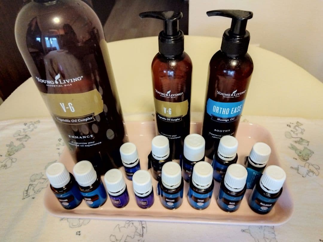 【最終値下げ】ヤングリビング・レインドロップテクニック特大サイズセット