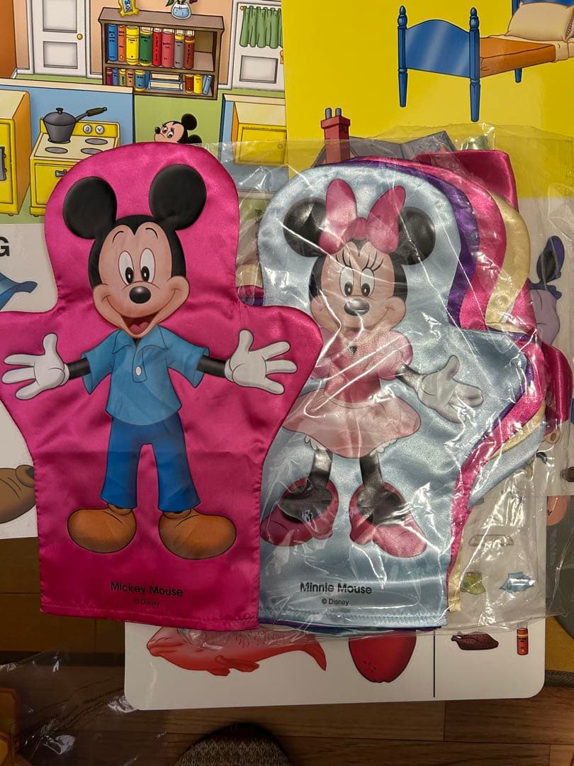 Disney's World of English ディズニー　英語システム