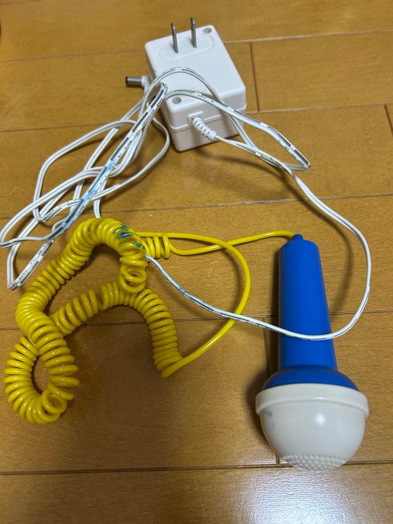 Disney's World of English ディズニー　英語システム