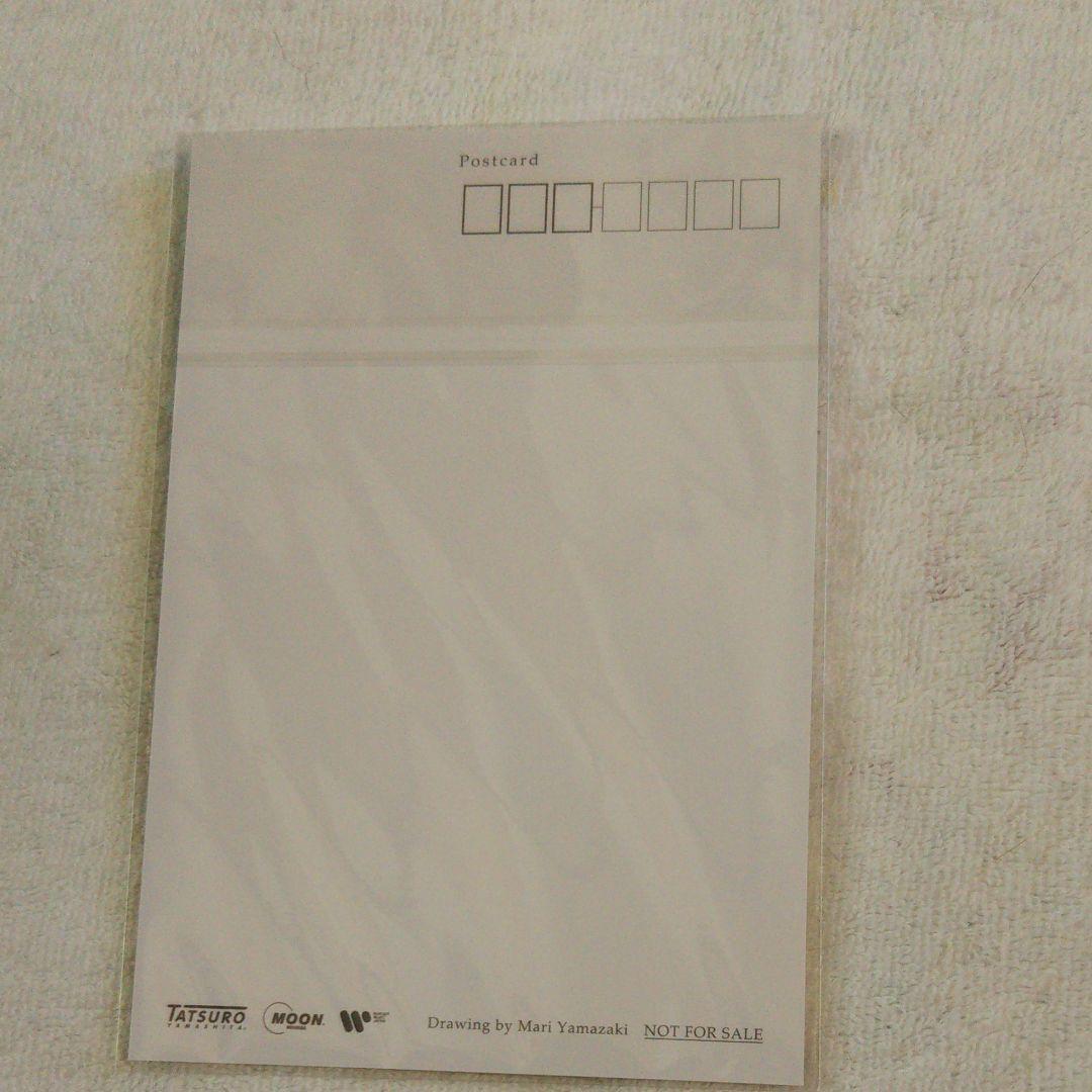 新品 レコード 山下達郎 SOFTLY 送料込み ソフトリー