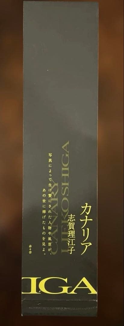 志賀理江子　Canary カナリア