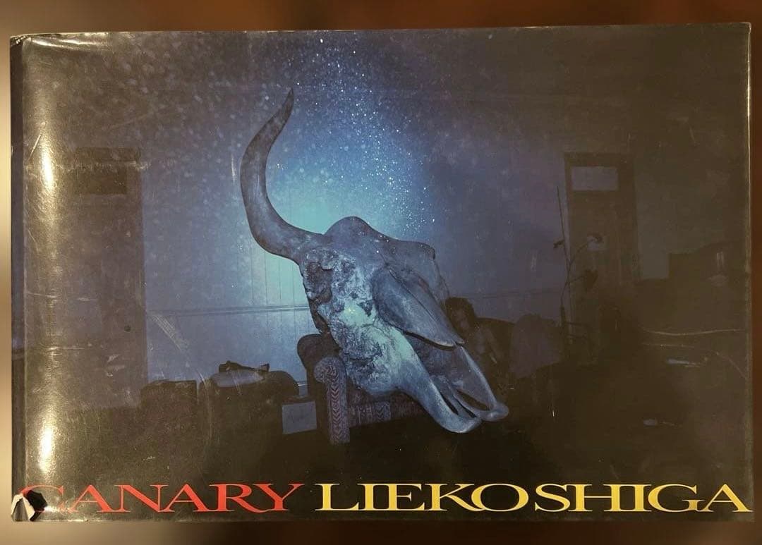 志賀理江子　Canary カナリア