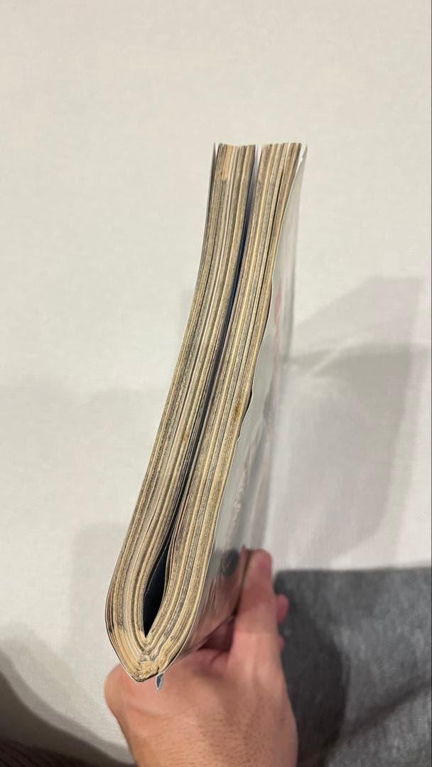 モーニング2009年26号/バガボンド表紙&巻頭カラー/井上雄彦/希少レア乱丁本