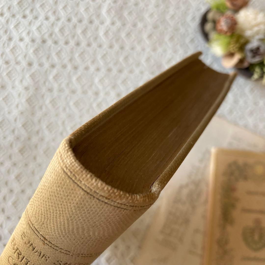 L901洋書古書1923年エイナルネイマンが挿絵を添えた希少なアンティークブック