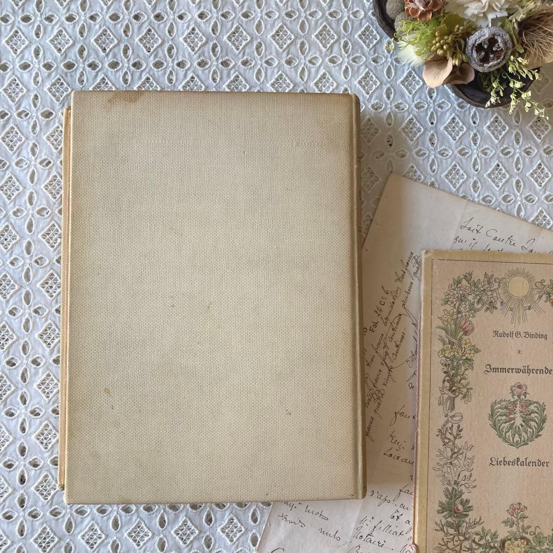 L901洋書古書1923年エイナルネイマンが挿絵を添えた希少なアンティークブック