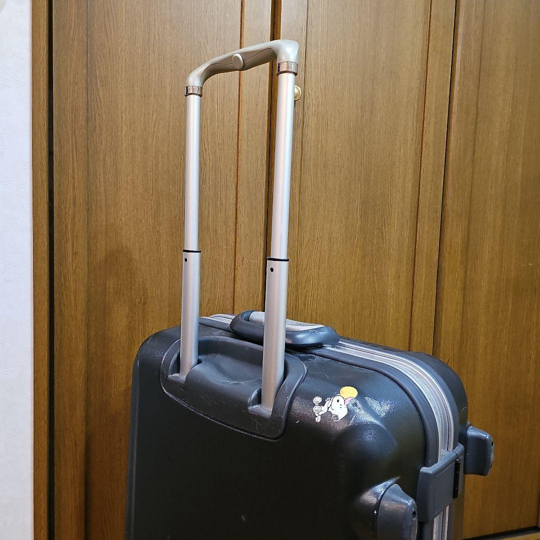 【週末特価、週末のみ発送】信頼のProtecA キャリーケース