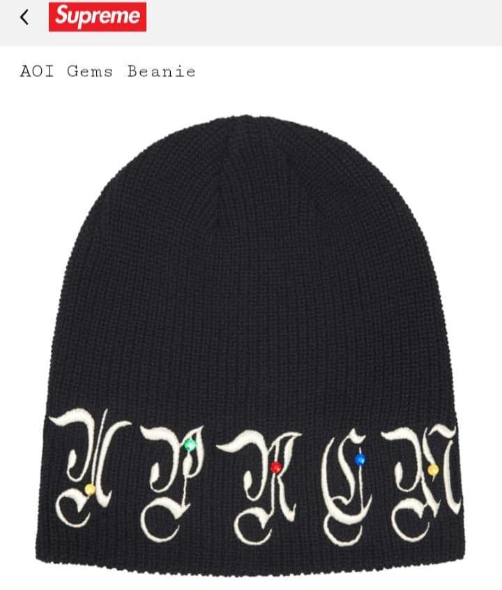 Supreme / AOI Gams Beanie (黒)