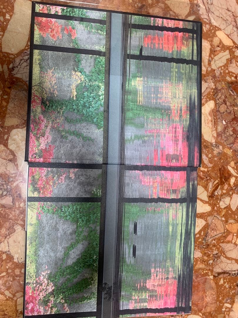 建築　カルロ・スカルパ 洋書　Carlo Scarpa