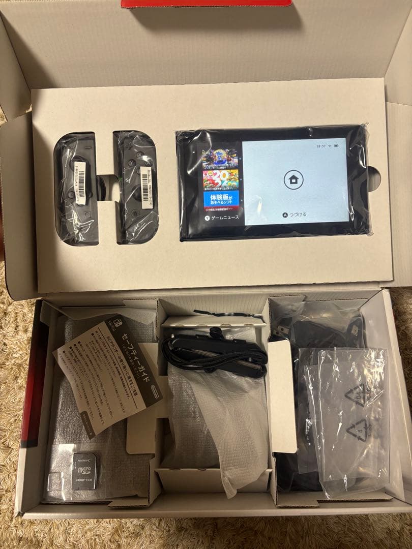 Nintendo Switch グレー 本体ポケモンバイオレット付き