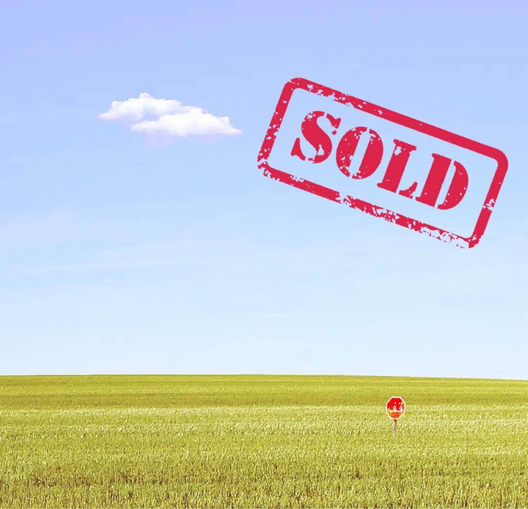 モロッコ製 カクタスシルク サブラ クッションカバー 約45×45cm 2個