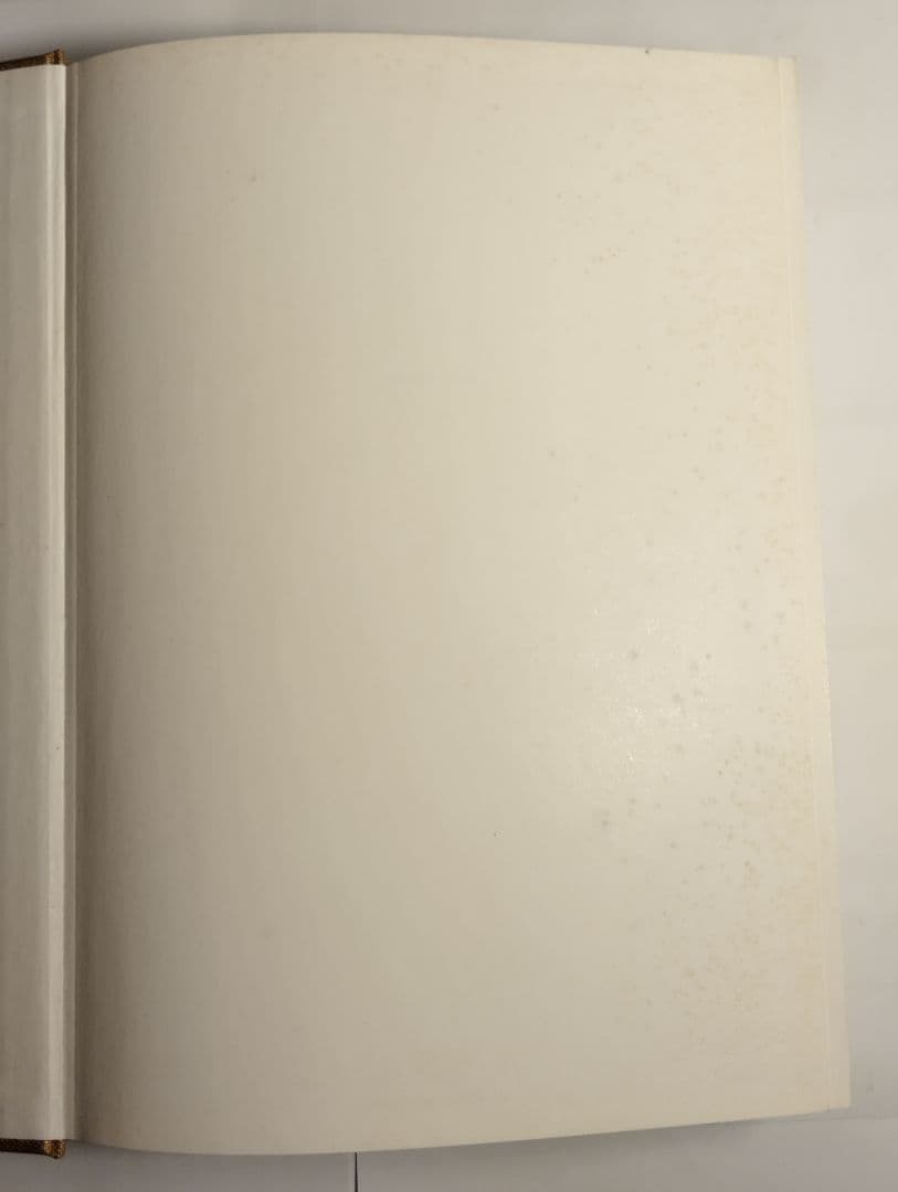 Juergen Teller GO-SEES ユルゲン・テラー 写真集