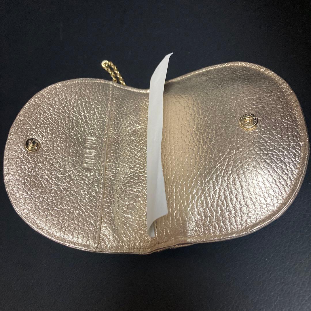 新品未使用　ANNA SUI マイティティマルチケース牛革製