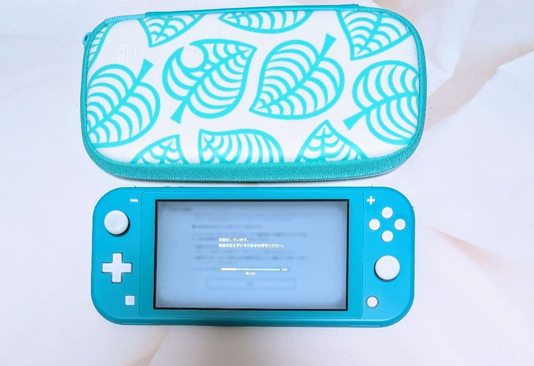 美品　Nintendo Switch Lite ターコイズ 専用ケース付き