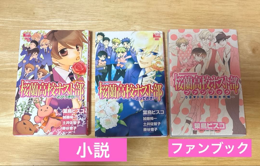 【全初版】桜蘭高校ホスト部　全巻セット+小説+ファンブック　全21巻　葉鳥ビスコ