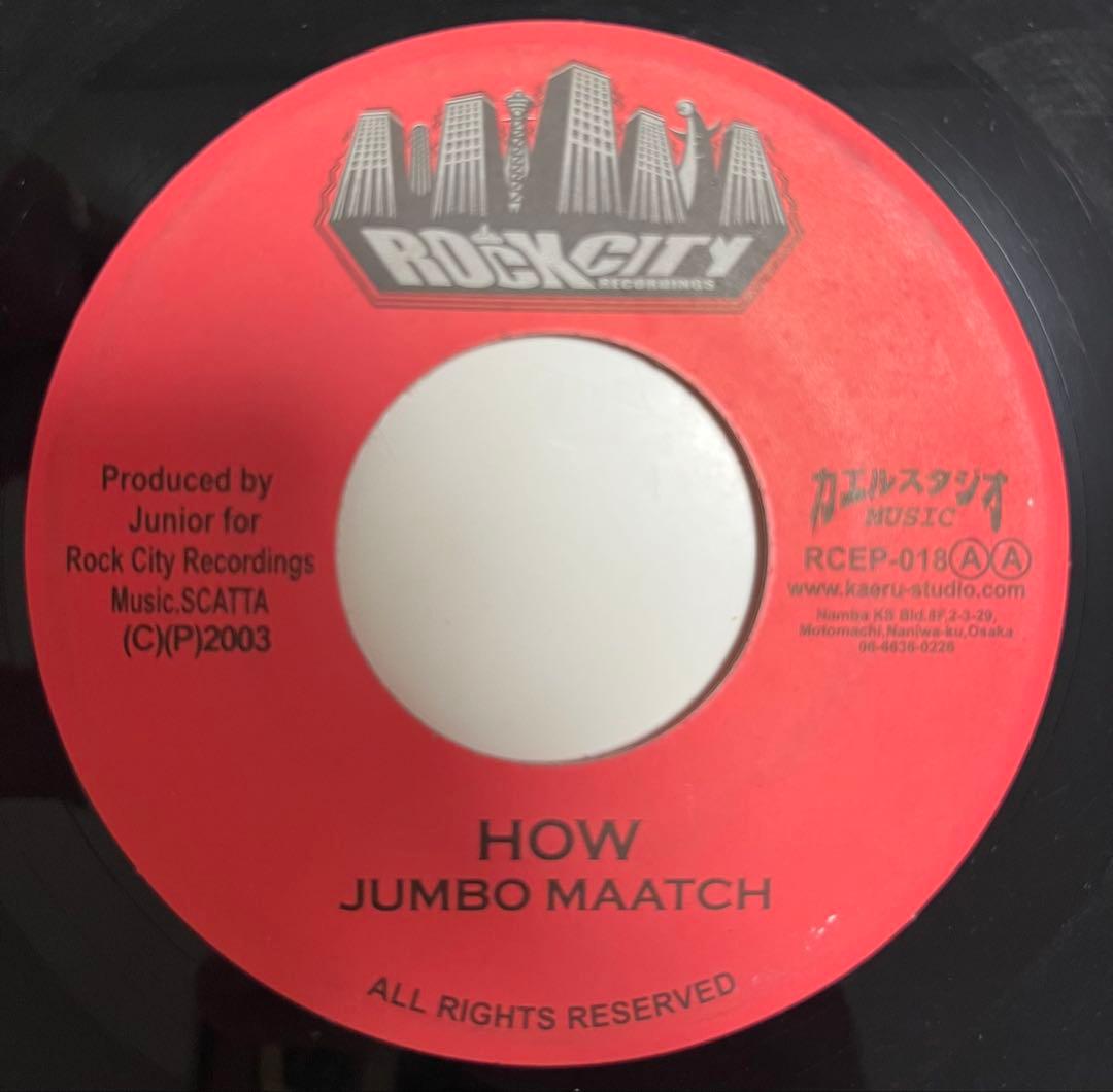 新/旧 ジャパレゲ レコード 10枚(17曲) セット レゲエ レコード