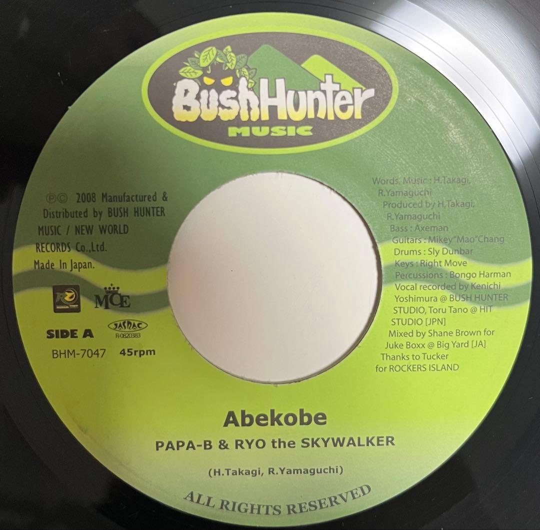 新/旧 ジャパレゲ レコード 10枚(17曲) セット レゲエ レコード